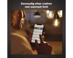 PHILIPS Hue White LED Filament Lamp E27/7W G125 16 PHILIPS Hue White LED Filament Lamp E27/7W G125 -LED-lampen Lamp Bulb Shop DV 8 10391825 03 4c NL 20210113104650