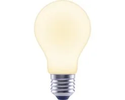 FLAIR LED Lamp E27/7,5W A60 Warmwit Mat -LED-lampen Lamp Bulb Shop DV 8 10436359 04 4c DE 20220104051657