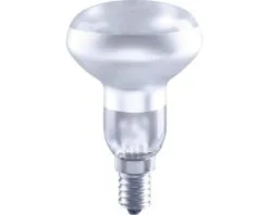 FLAIR LED Lamp E14/2W R50 Daglicht Wit Mat