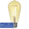 MÜLLER LICHT Smart LED-lamp Tint E27/5,5W ST64 Instelbaar Wit Goud -LED-lampen Lamp Bulb Shop DV 8 10454099 05 4c DE 20211129111658