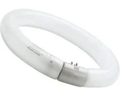 SYLVANIA TL-buis Ringvorm G10Q T9/32W Ø 299 Mm Neutraal Wit